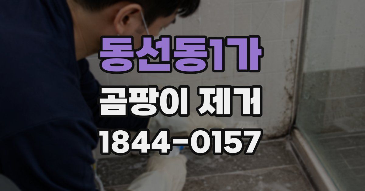 동선동1가 곰팡이 제거