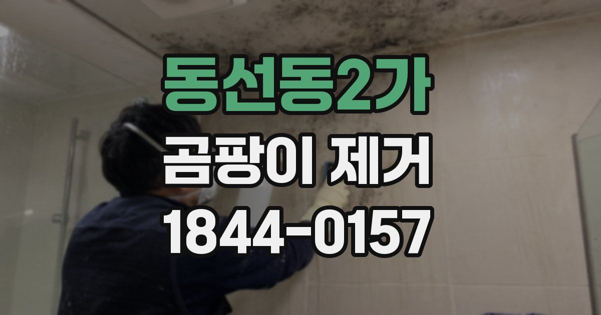 동선동2가 곰팡이 제거