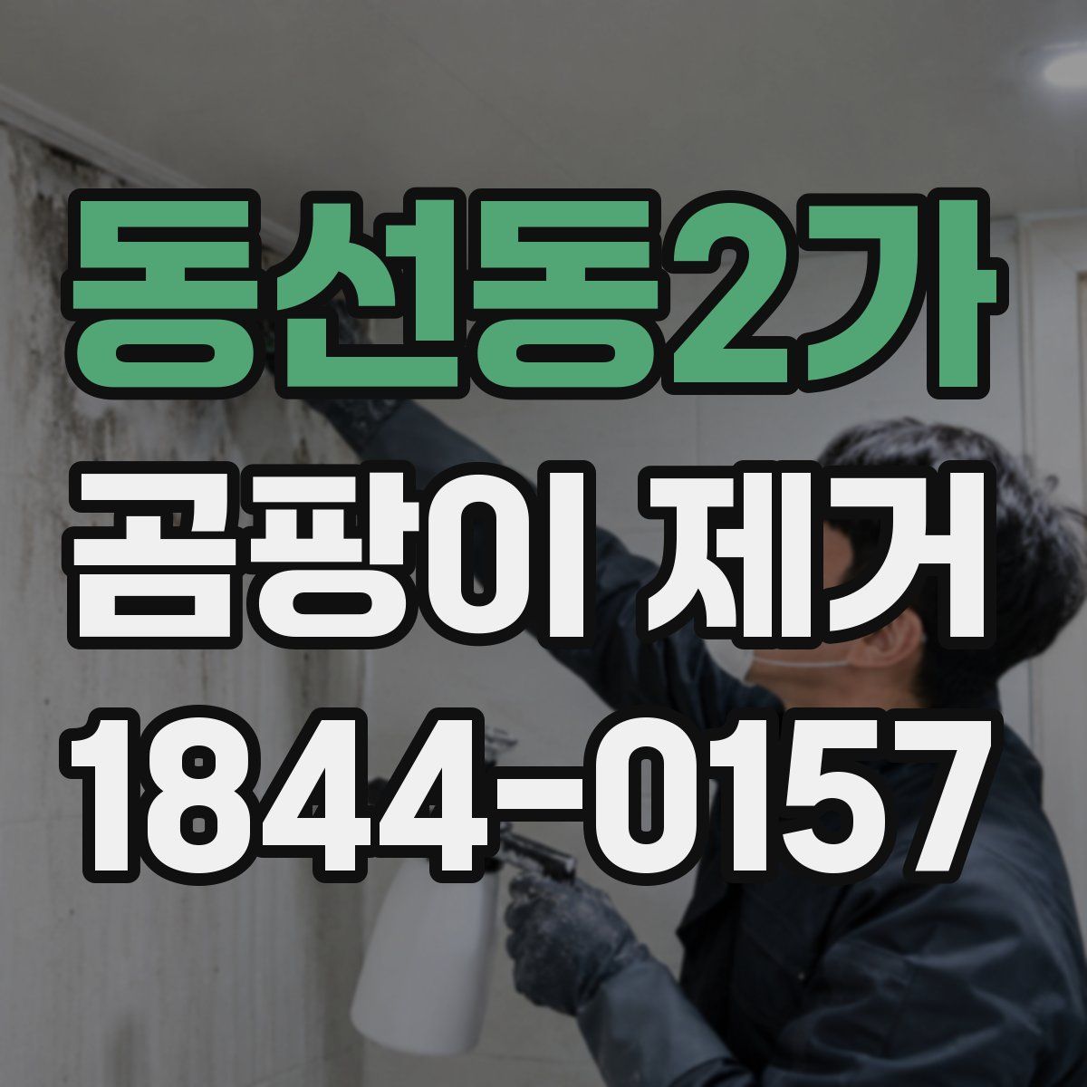 동선동2가 곰팡이 제거