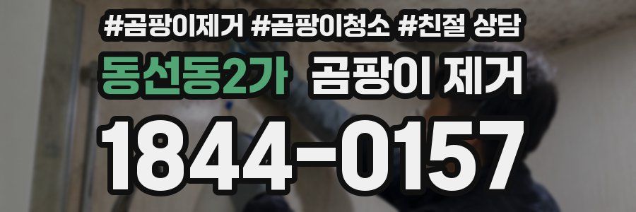 동선동2가 곰팡이 제거