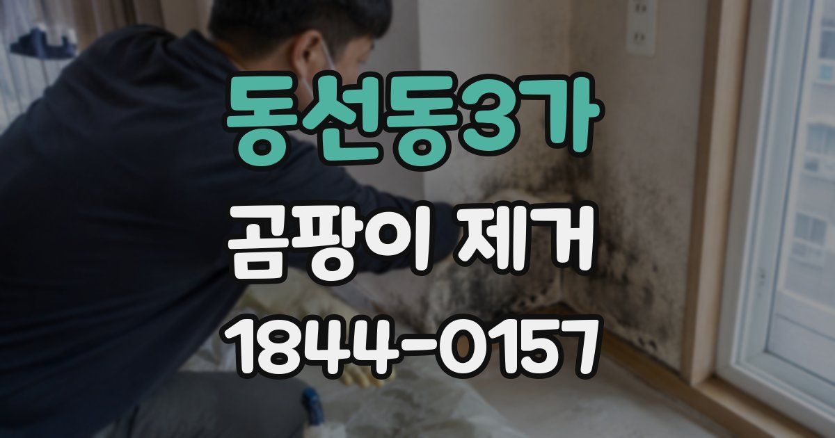 동선동3가 곰팡이 제거