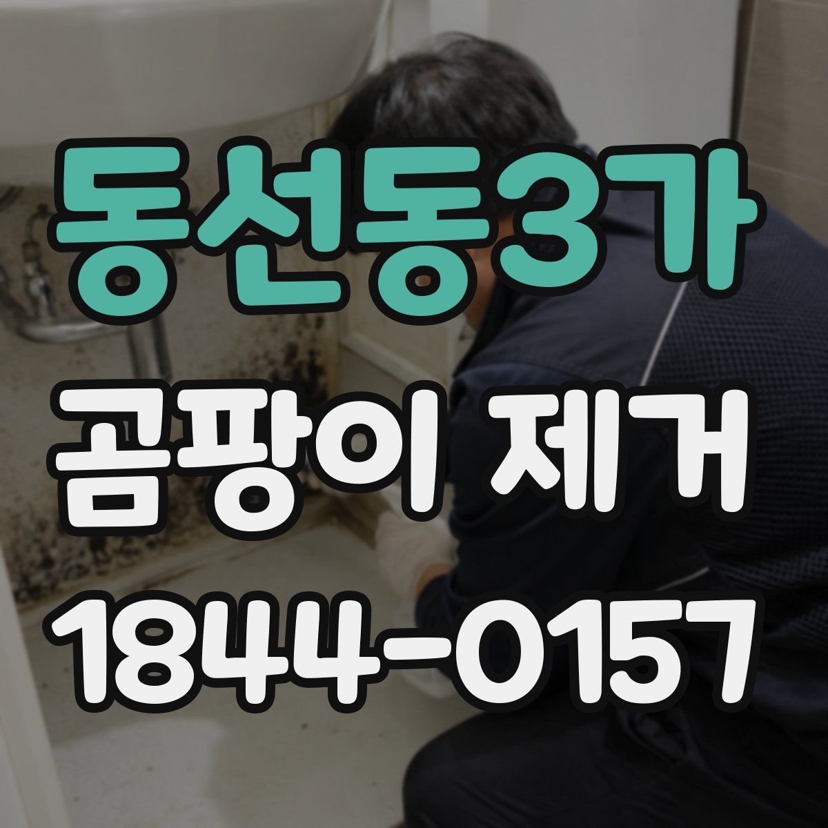 동선동3가 곰팡이 제거