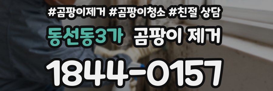 동선동3가 곰팡이 제거