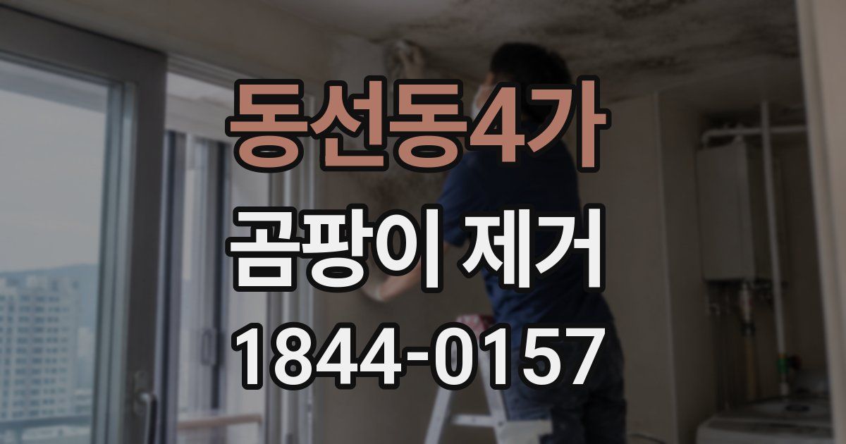 동선동4가 곰팡이 제거