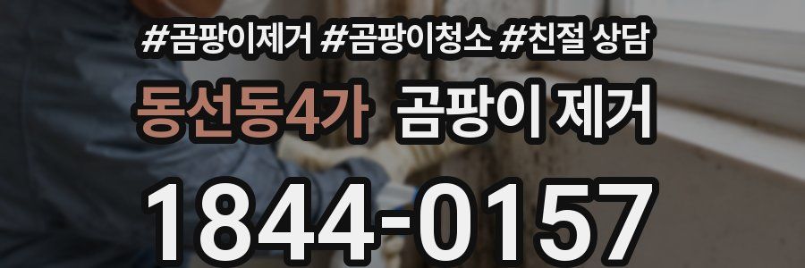 동선동4가 곰팡이 제거