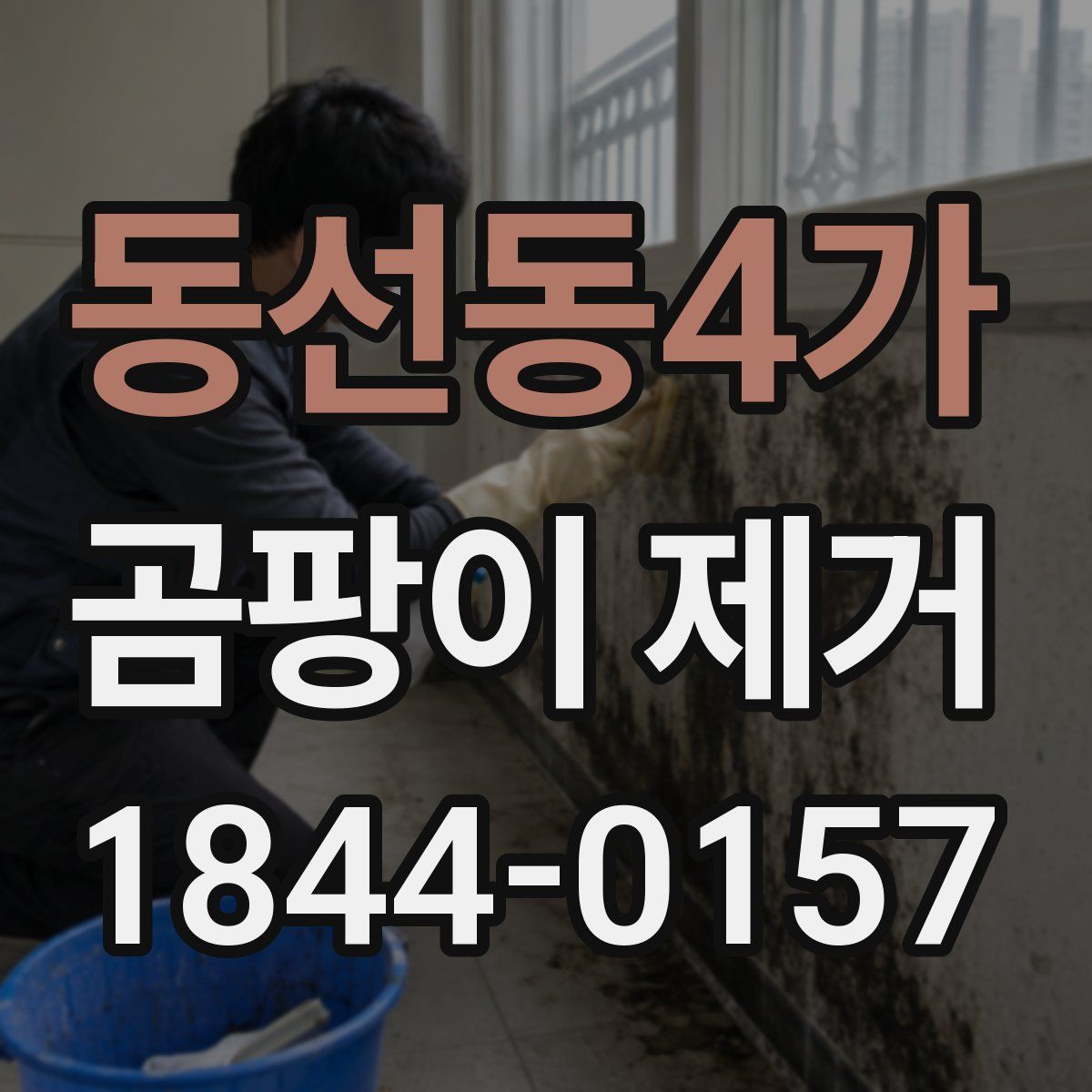 동선동4가 곰팡이 제거