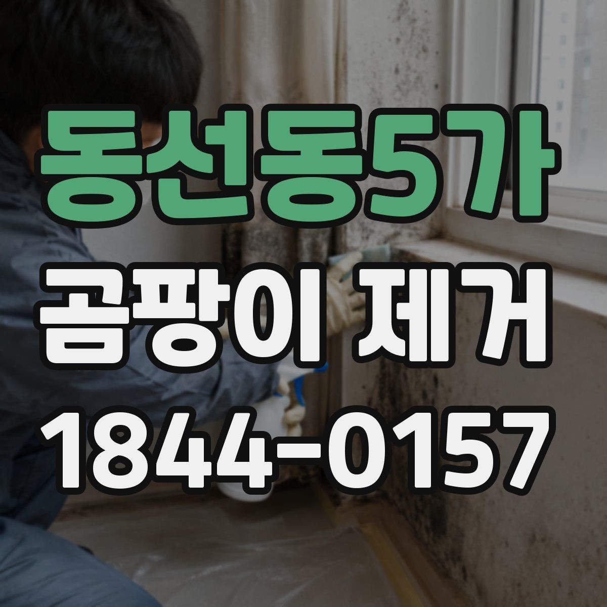 동선동5가 곰팡이 제거 비용 아끼려다 놓치기 쉬운 부분