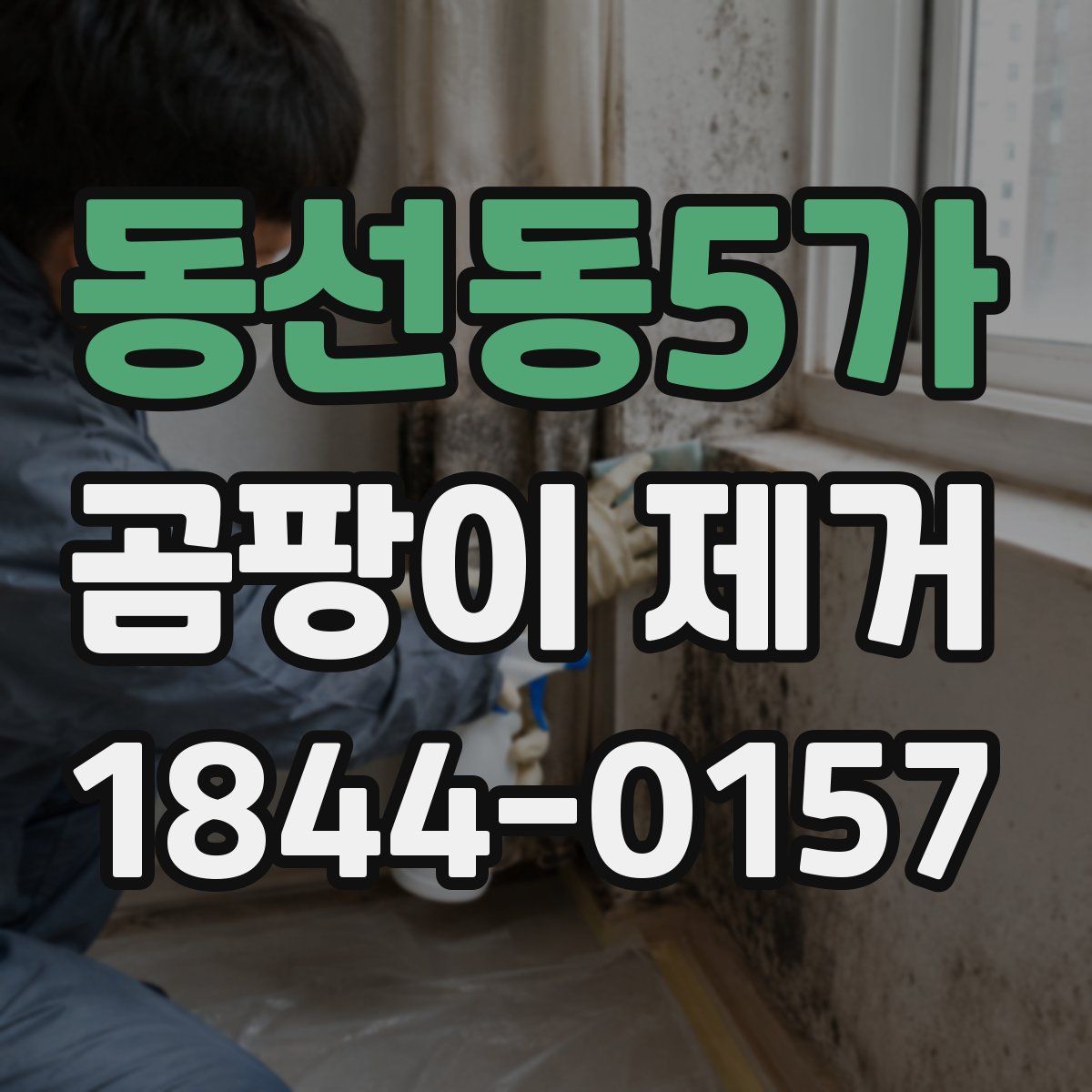 동선동5가 곰팡이 제거