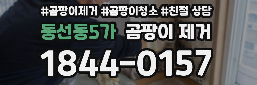 동선동5가 곰팡이 제거