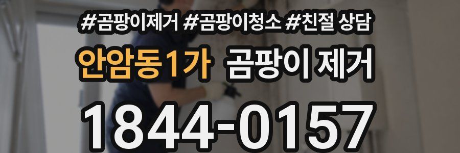 안암동1가 곰팡이 제거