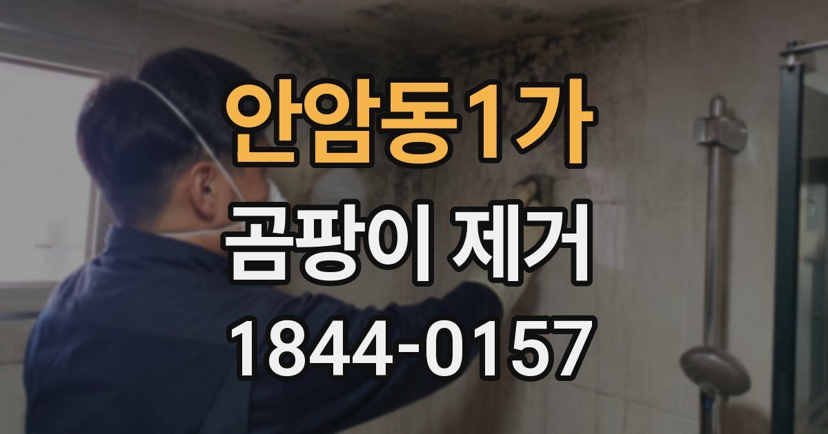 안암동1가 곰팡이 제거