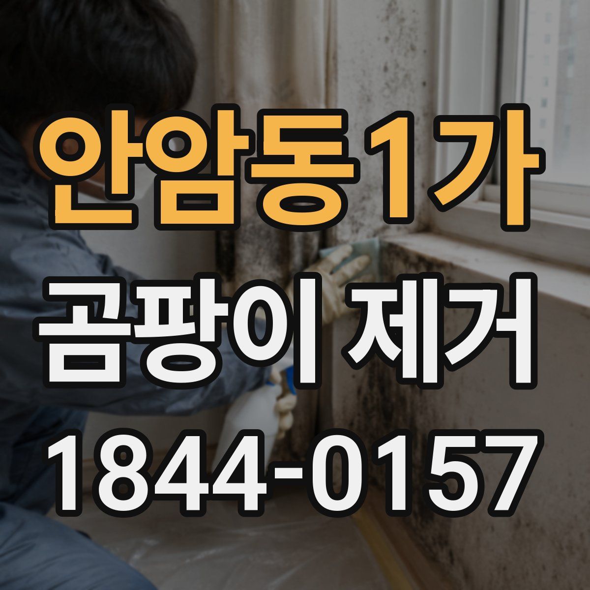 안암동1가 곰팡이 제거