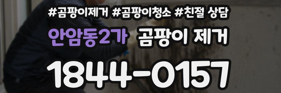 안암동2가 곰팡이 제거