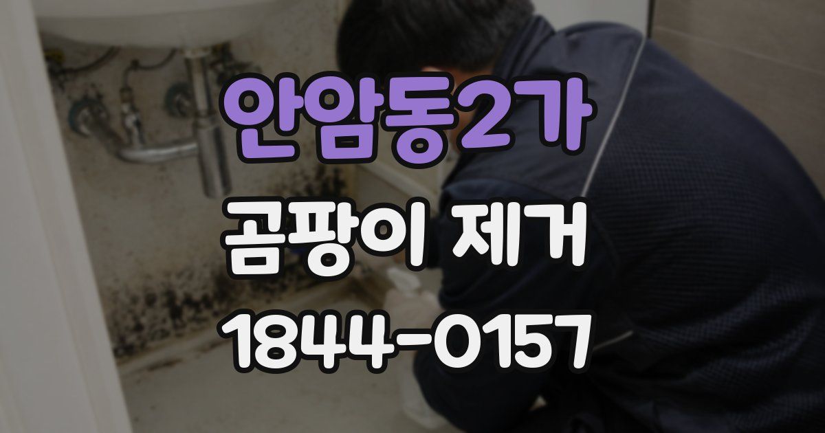 안암동2가 곰팡이 제거