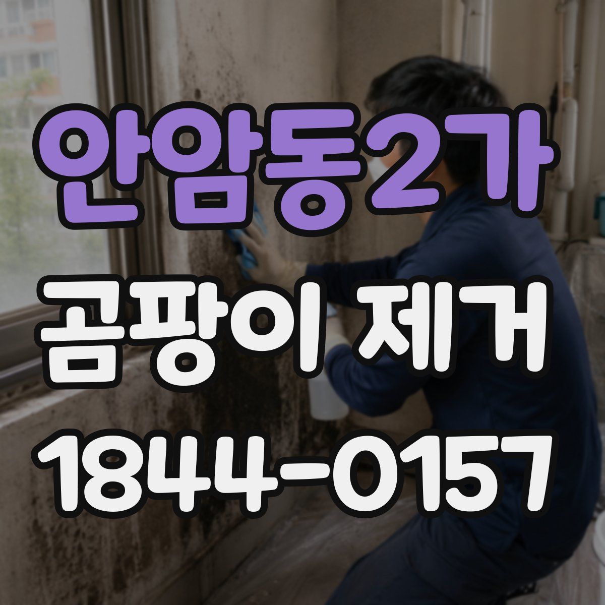 안암동2가 곰팡이 제거