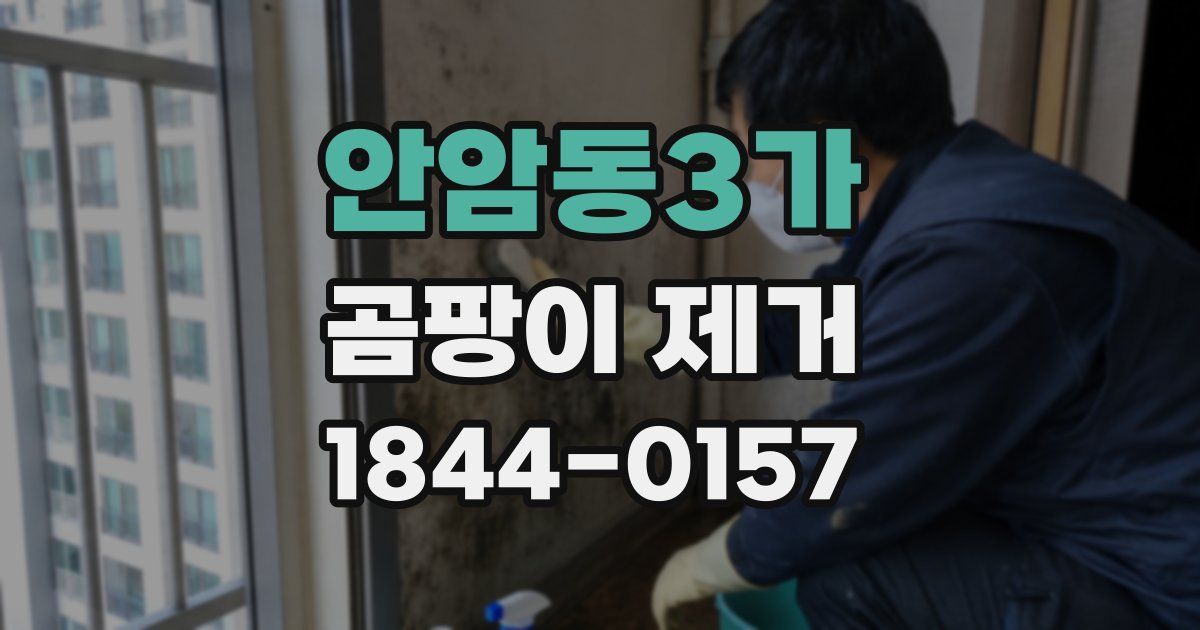 안암동3가 곰팡이 제거