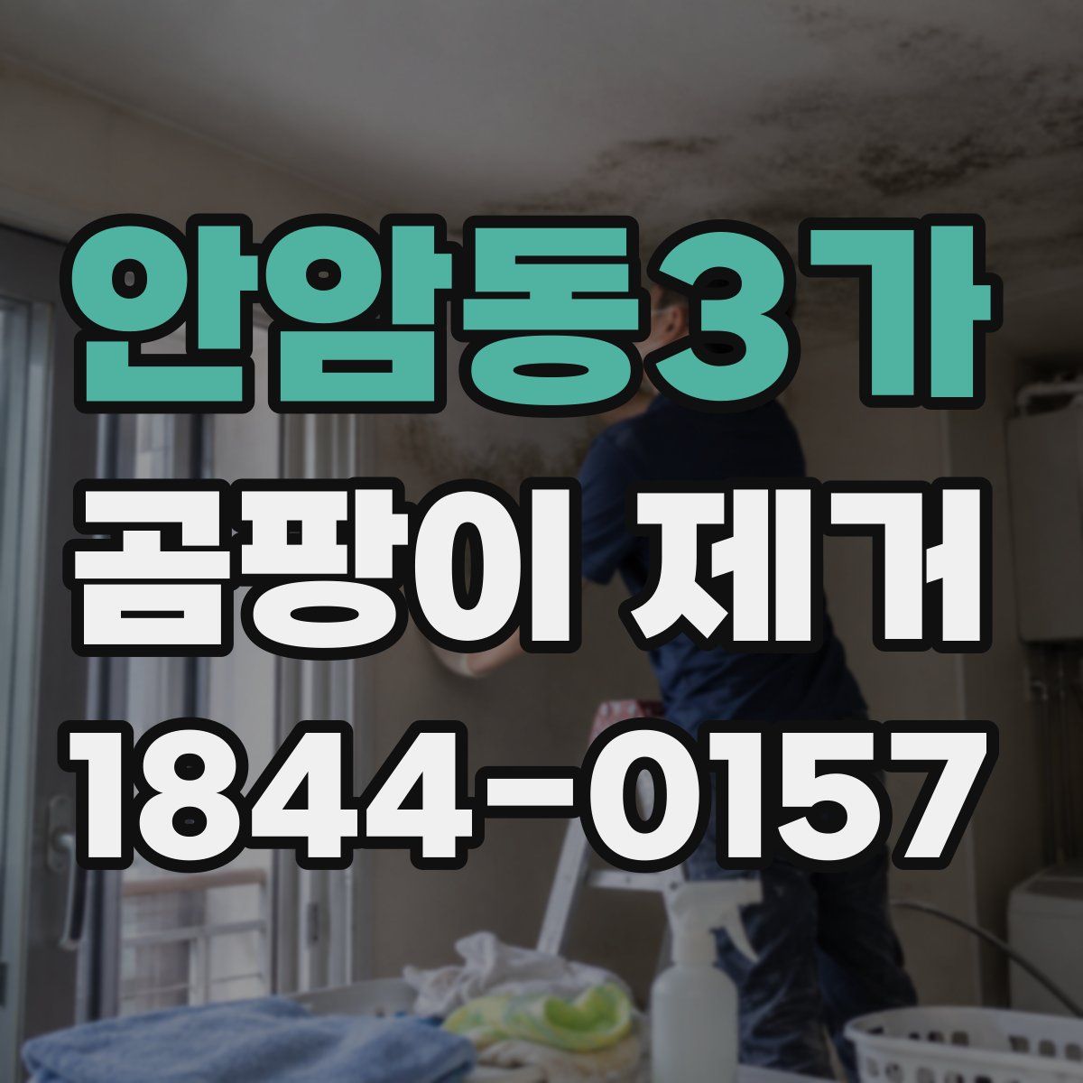 안암동3가 곰팡이 제거