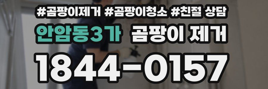 안암동3가 곰팡이 제거