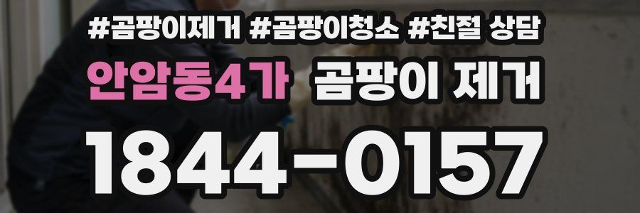 안암동4가 곰팡이 제거