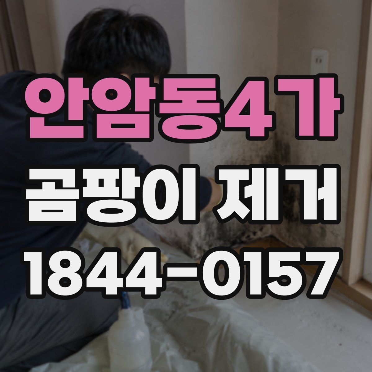 안암동4가 곰팡이 제거