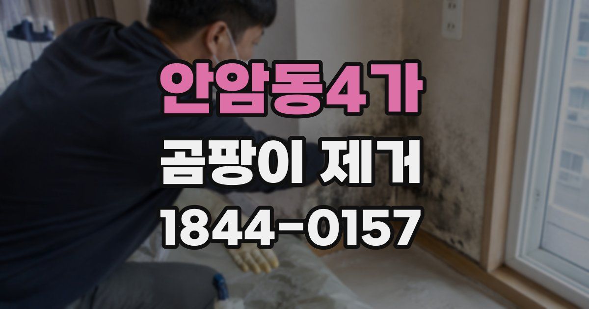 안암동4가 곰팡이 제거