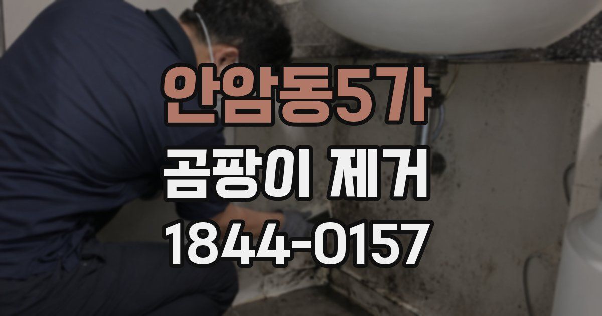 안암동5가 곰팡이 제거