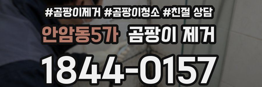 안암동5가 곰팡이 제거