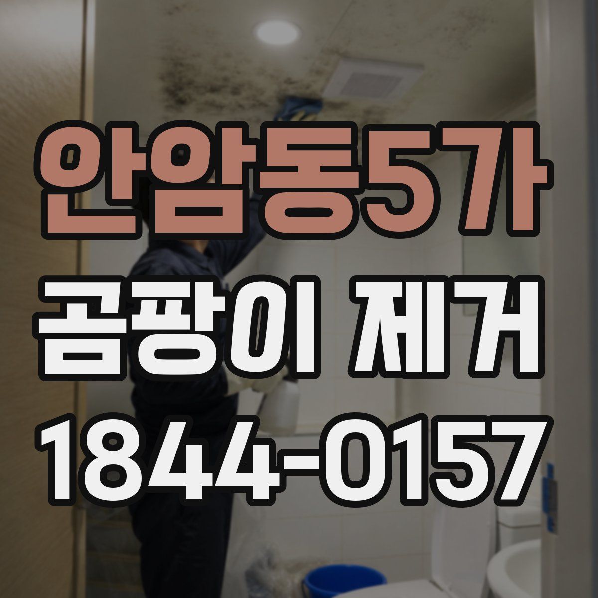 안암동5가 곰팡이 제거