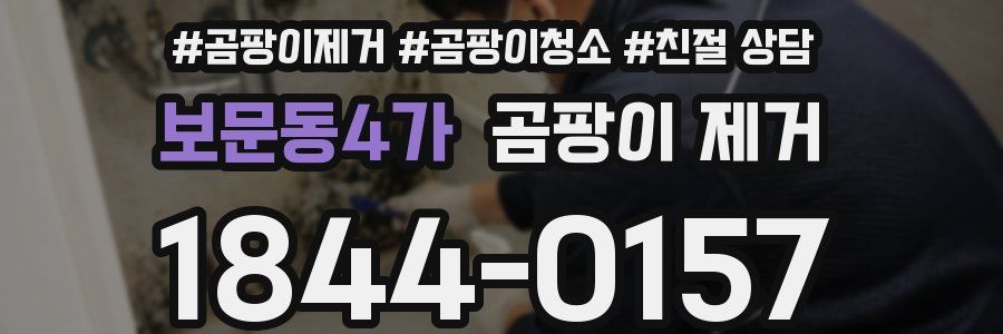 보문동4가 곰팡이 제거