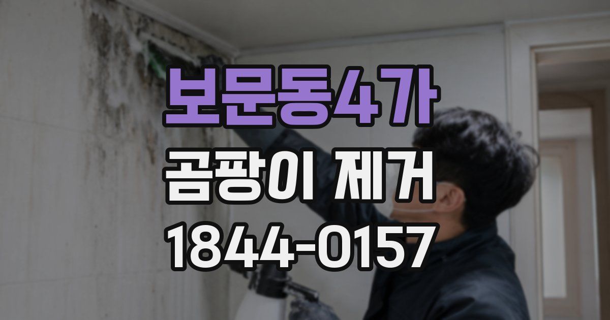 보문동4가 곰팡이 제거