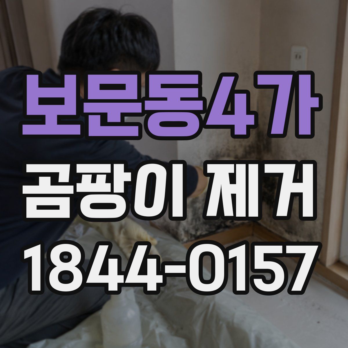 보문동4가 곰팡이 제거