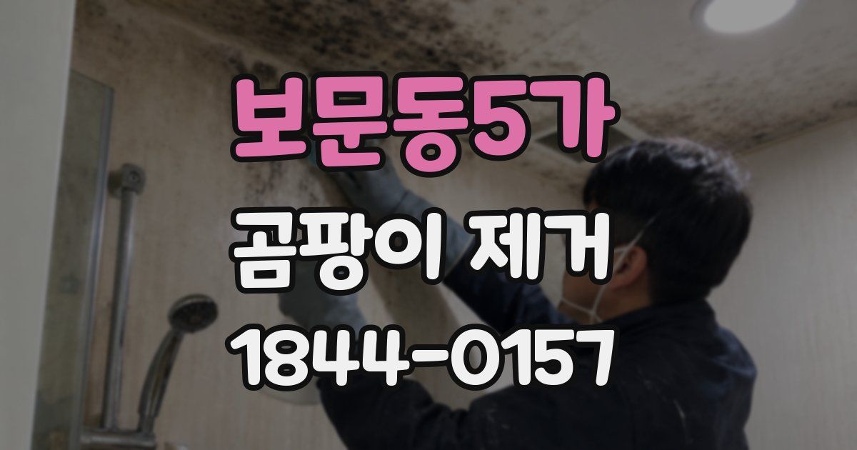 보문동5가 곰팡이 제거