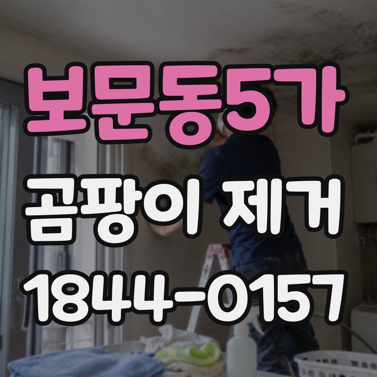 보문동5가 곰팡이 제거