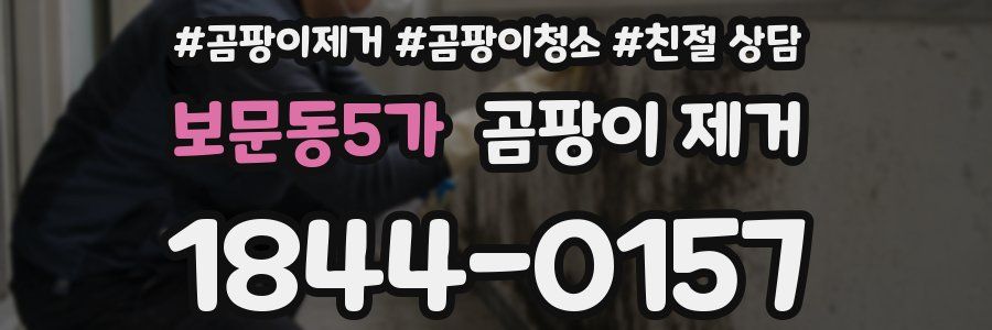 보문동5가 곰팡이 제거
