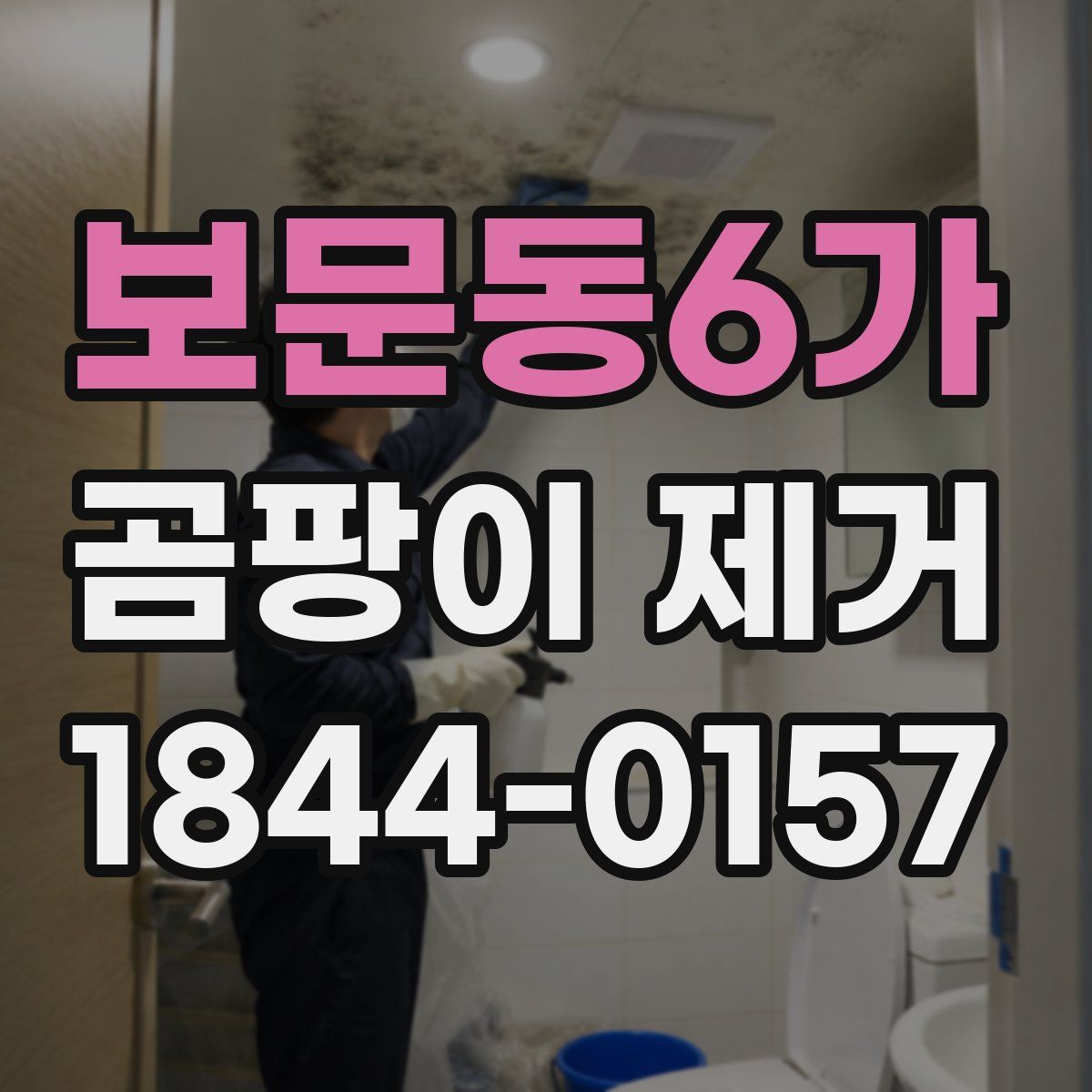 보문동6가 곰팡이 제거