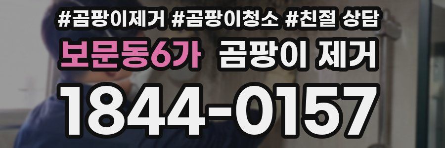 보문동6가 곰팡이 제거