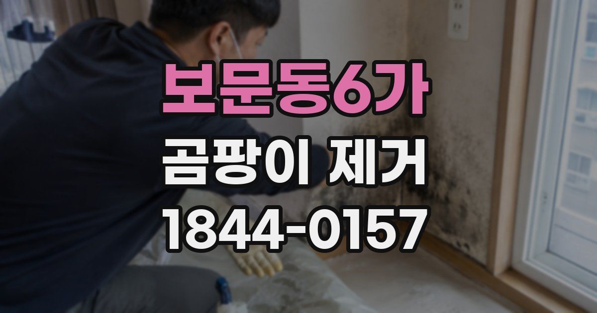 보문동6가 곰팡이 제거