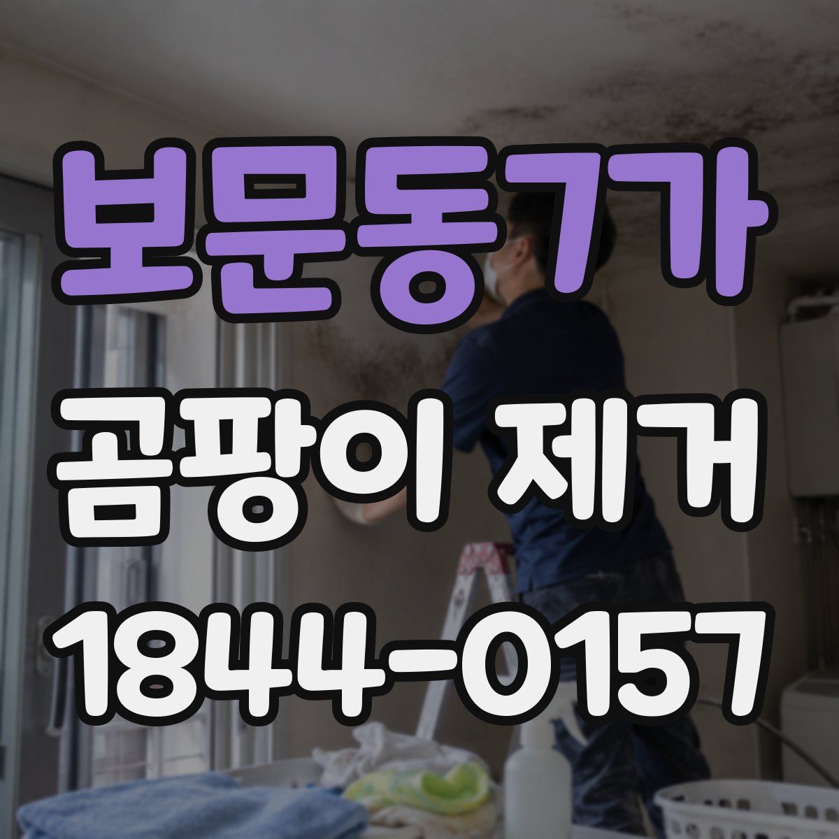 보문동7가 곰팡이 제거