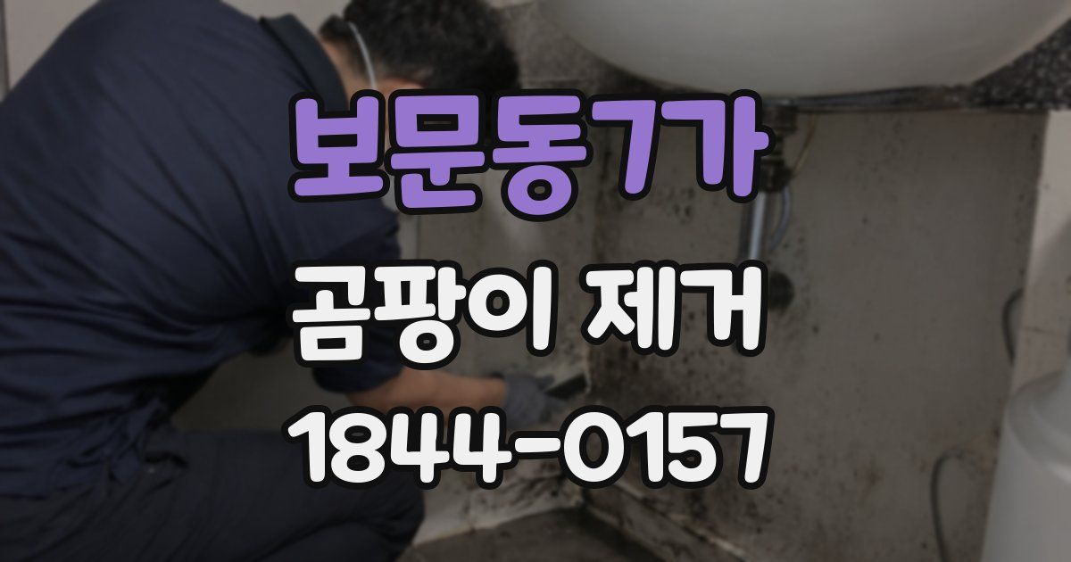 보문동7가 곰팡이 제거
