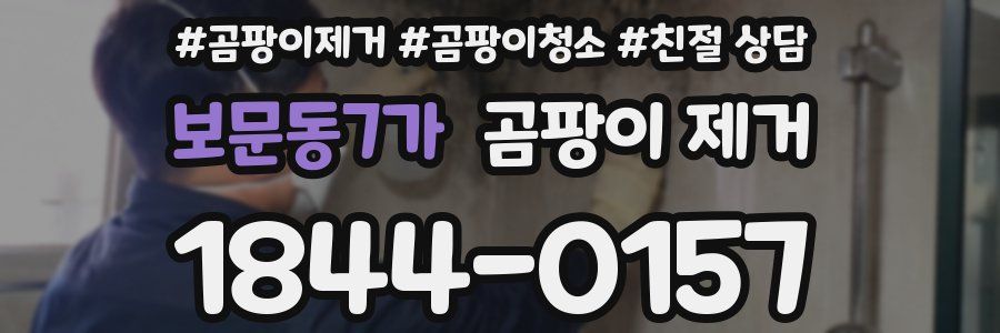 보문동7가 곰팡이 제거