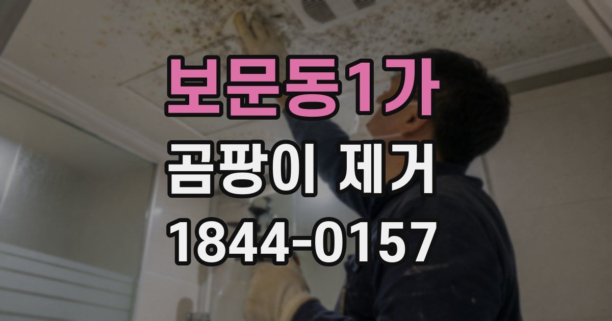 보문동1가 곰팡이 제거