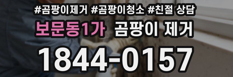 보문동1가 곰팡이 제거