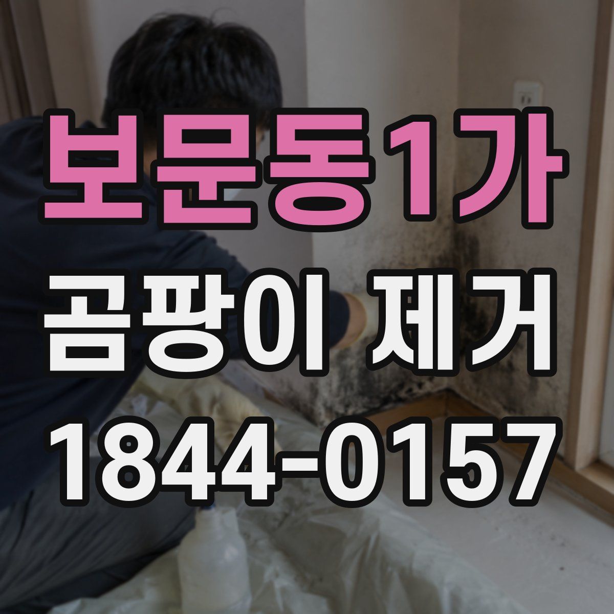 보문동1가 곰팡이 제거