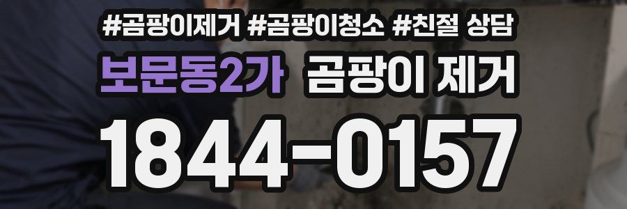보문동2가 곰팡이 제거