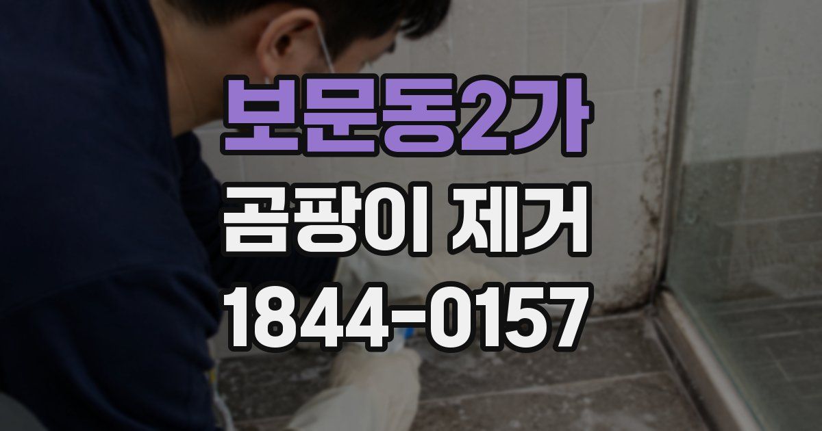 보문동2가 곰팡이 제거