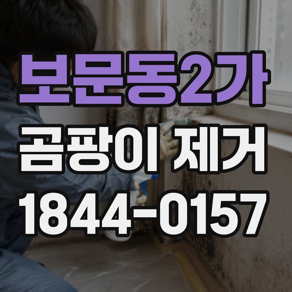 보문동2가 곰팡이 제거