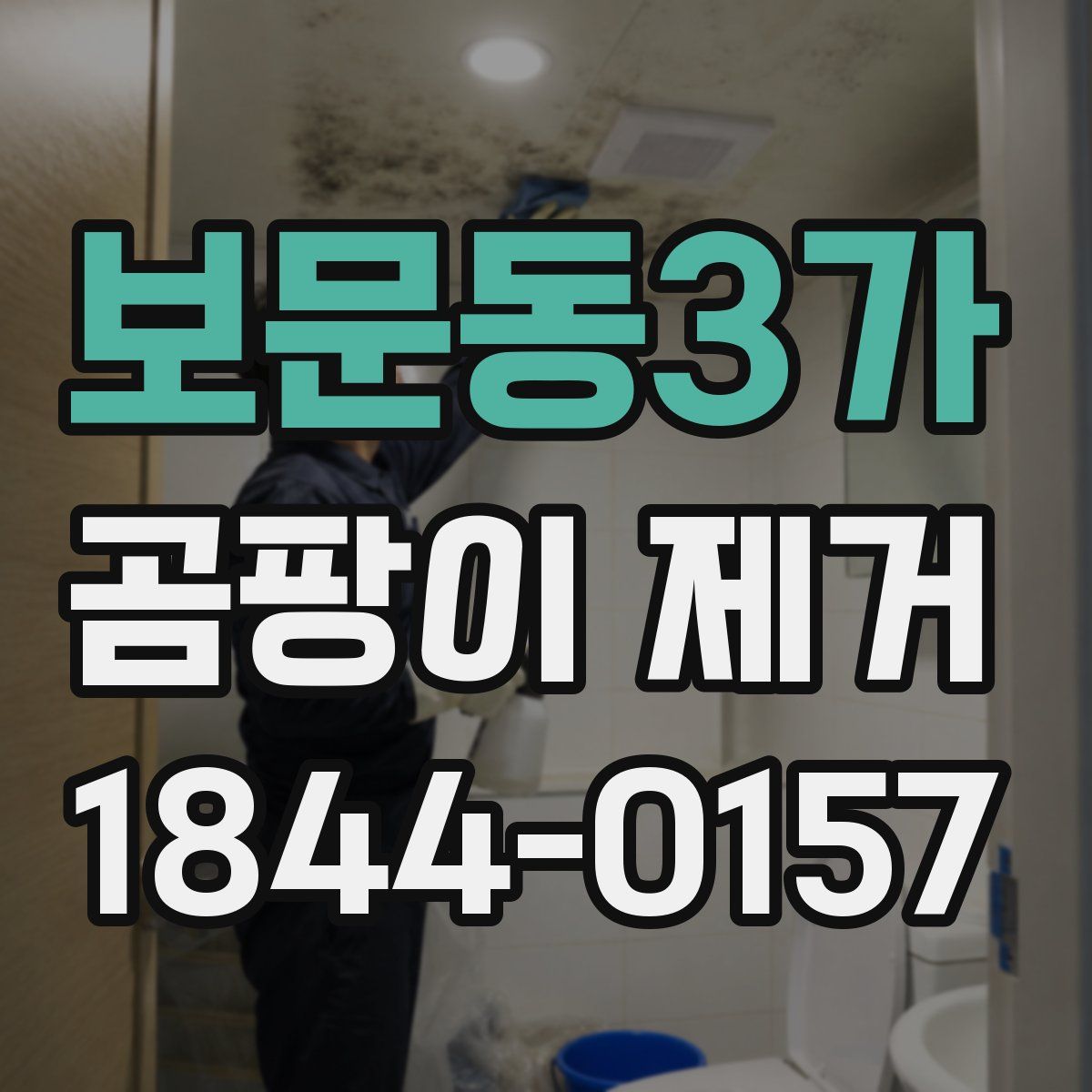 보문동3가 곰팡이 제거
