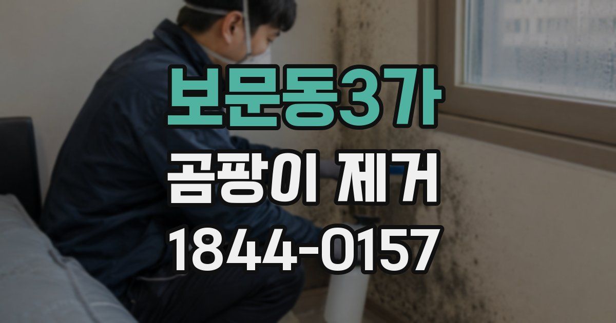 보문동3가 곰팡이 제거