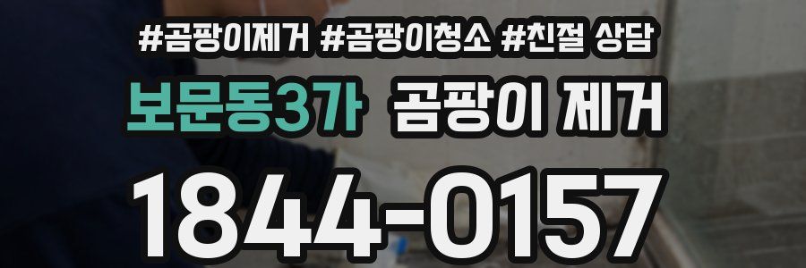 보문동3가 곰팡이 제거