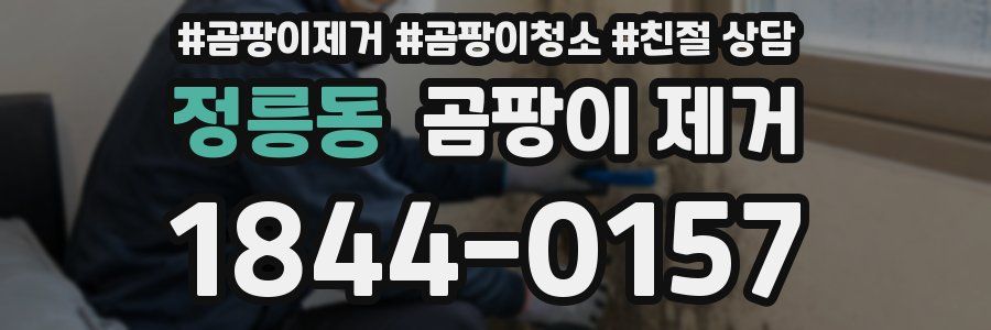 정릉동 곰팡이 제거